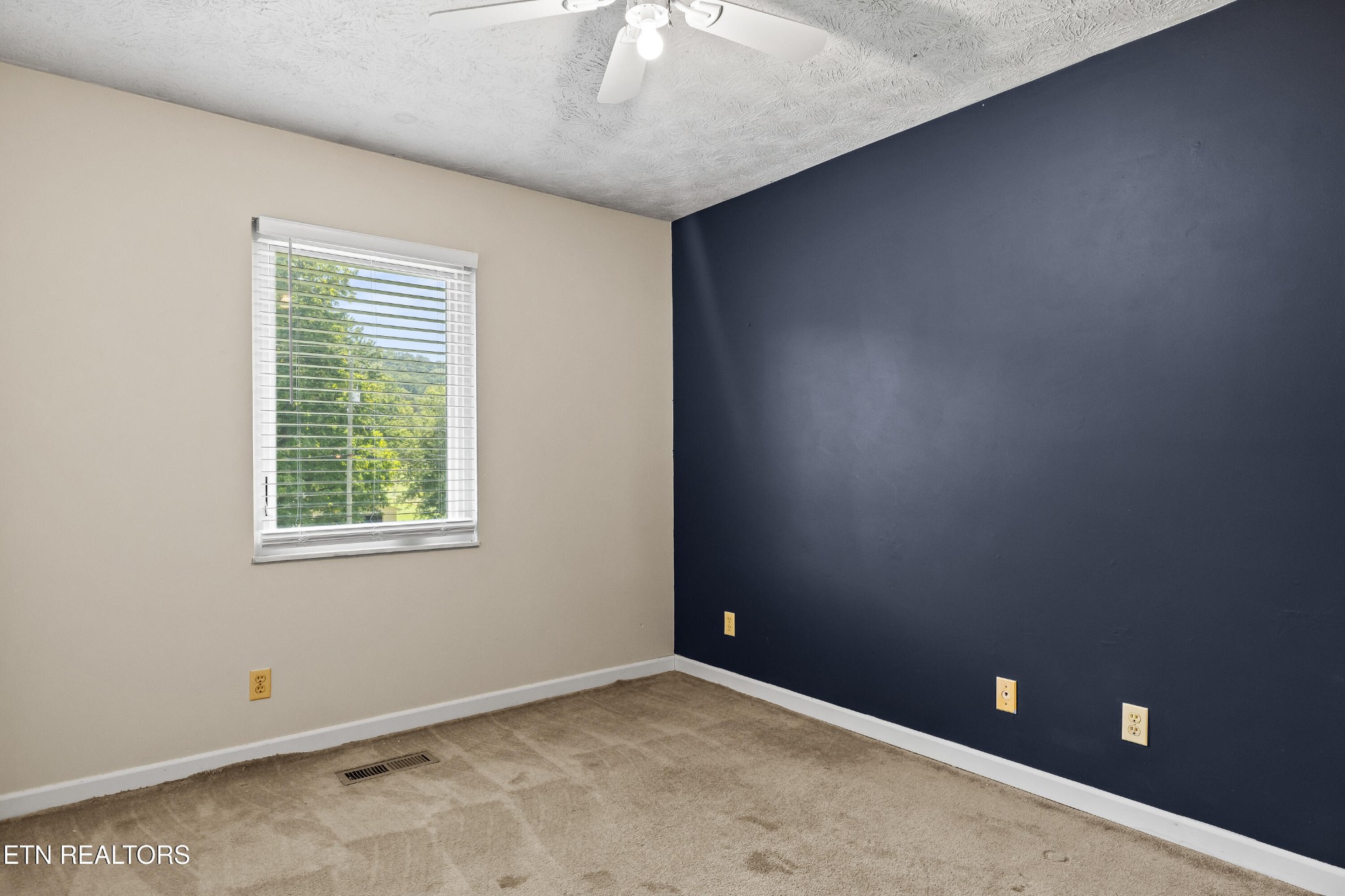 710 Beard Valley Road Maynardville, TN 37807 - Photo 14 of 50 Gallery Image 14