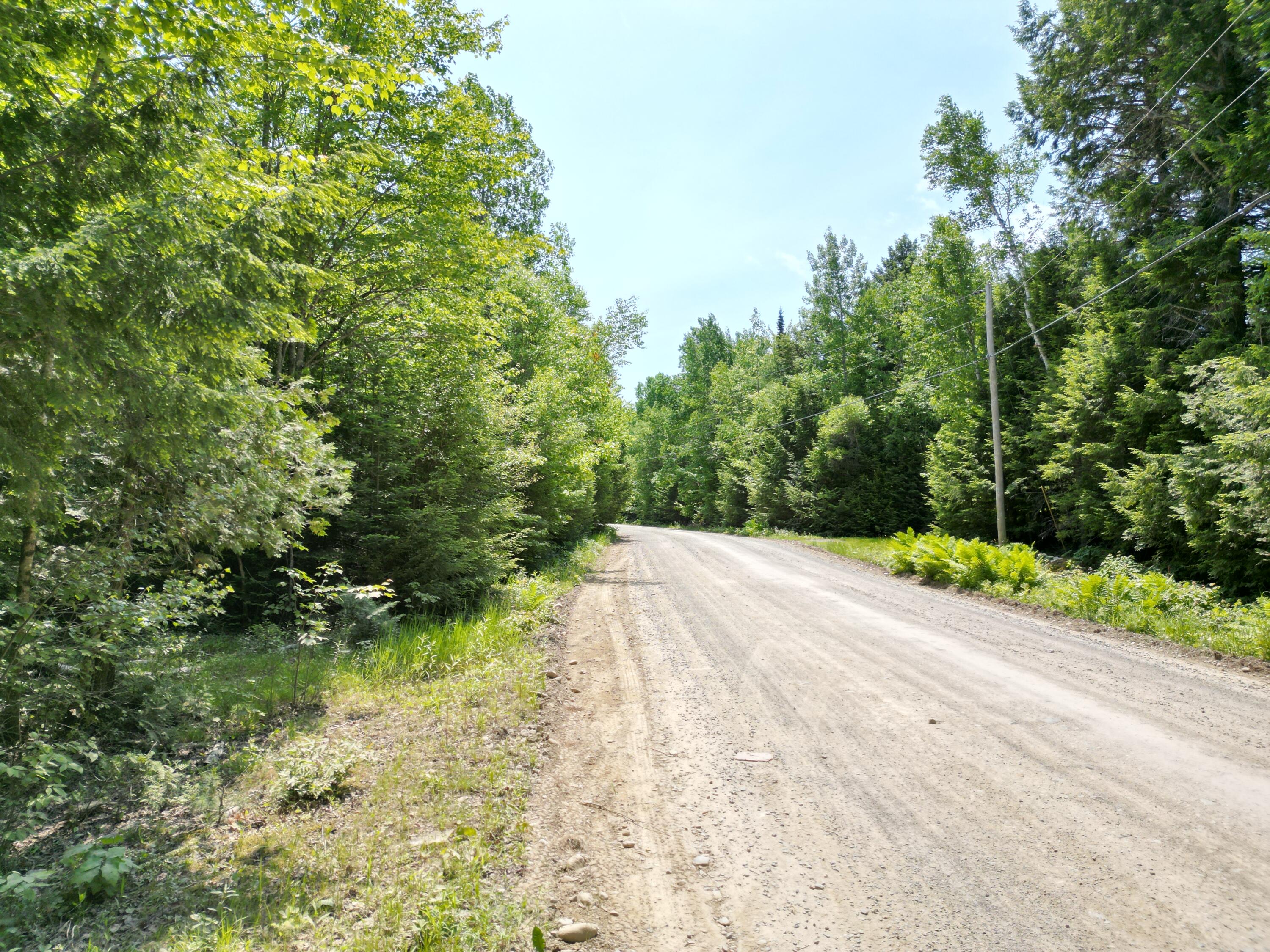 115 Egg Pond Road Lincoln, ME 04457 - Photo 3 of 14 DJI_0295