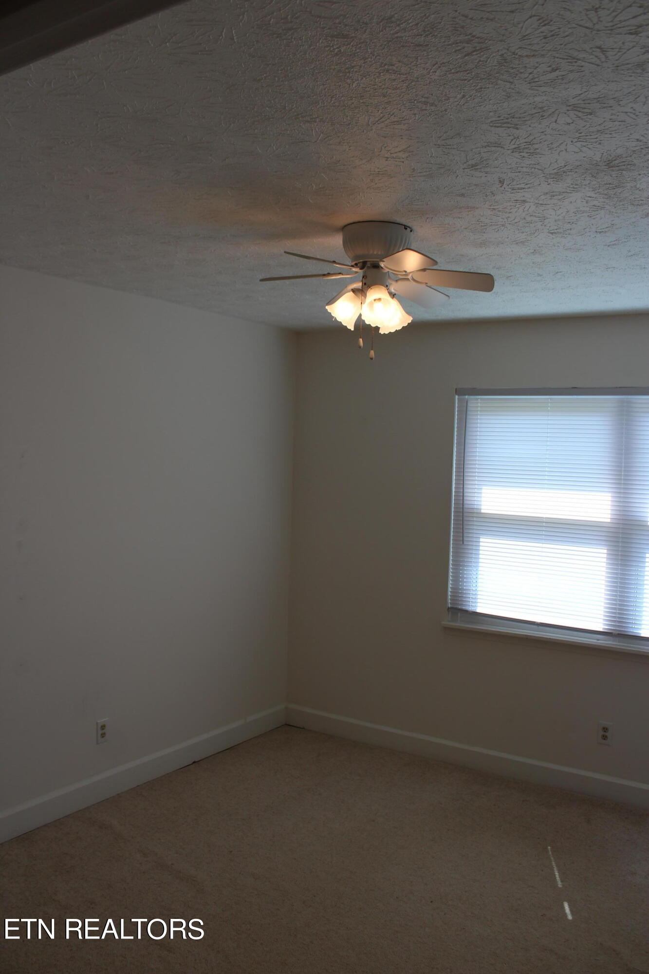 1024 Lincoln Road Jamestown, TN 38556 - Photo 21 of 38 022