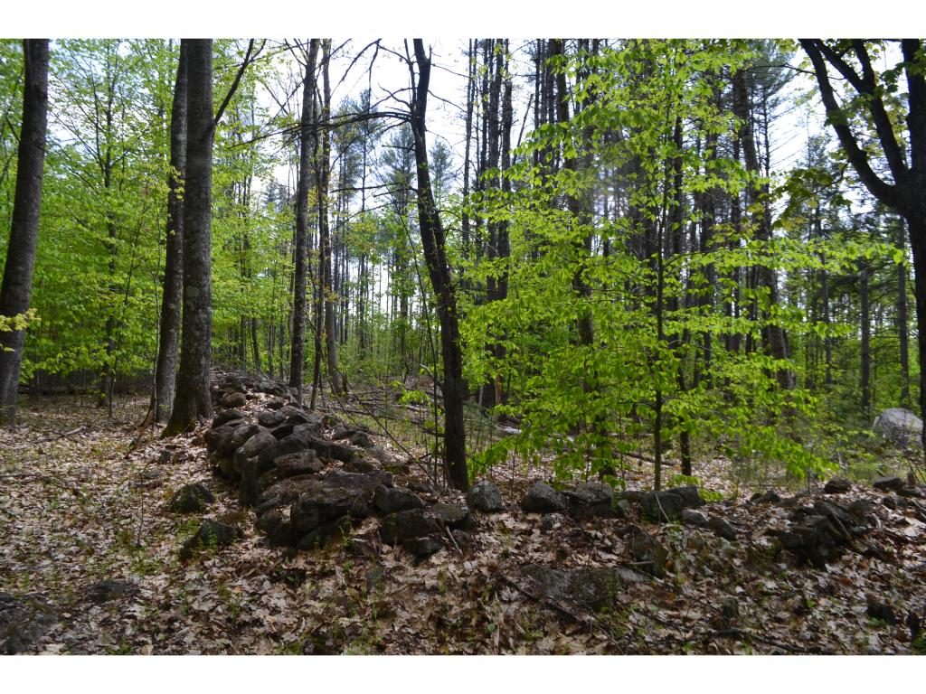 126 Pest House Road Tilton, NH 03276 - Photo 1 of 13