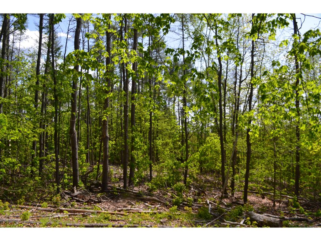 126 Pest House Road Tilton, NH 03276 - Photo 3 of 13