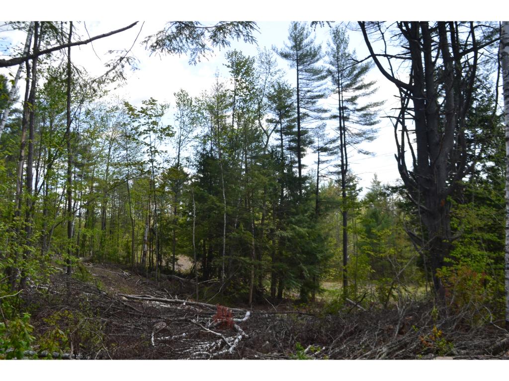 126 Pest House Road Tilton, NH 03276 - Photo 4 of 13
