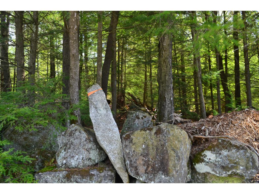 126 Pest House Road Tilton, NH 03276 - Photo 7 of 13
