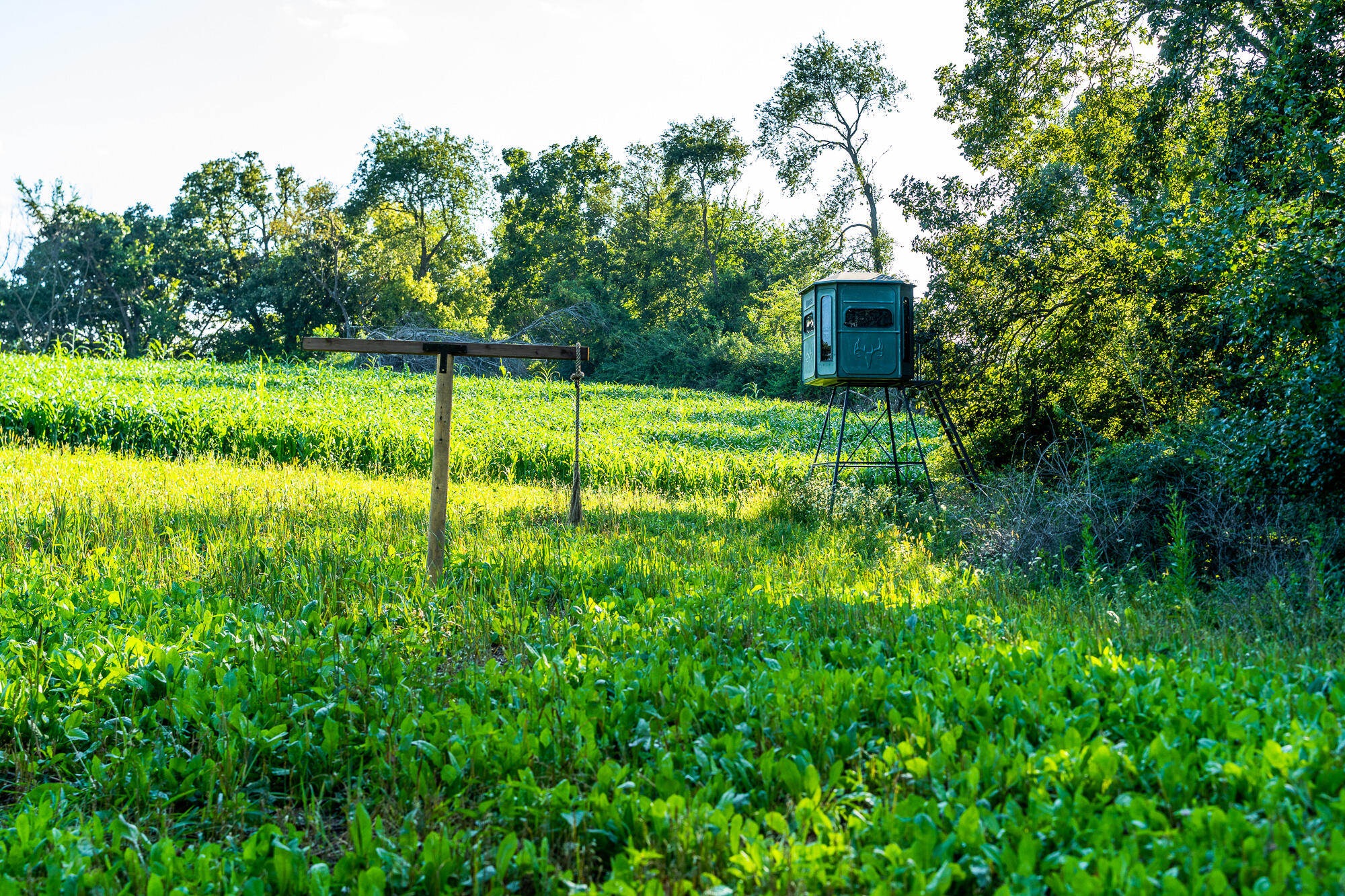 5292 Stenner Hill Road Marion, WI 53805 - Photo 28 of 69 Grant-County-WI-155-Acres-Land-For-Sale-