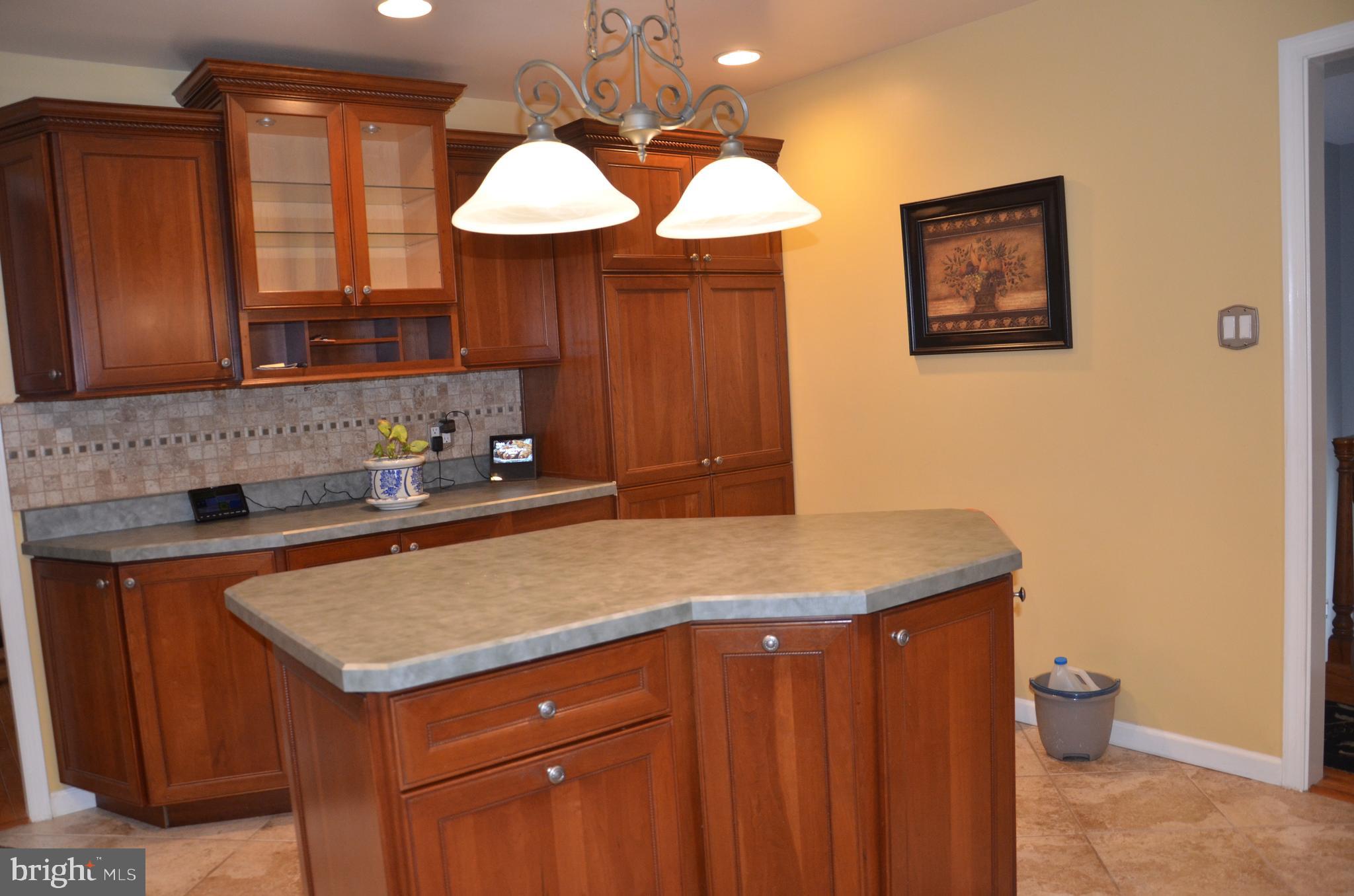 19704 Trunk Road White Hall, MD 21161 - Photo 17 of 59 Wonderful counter space and cabinet storage
