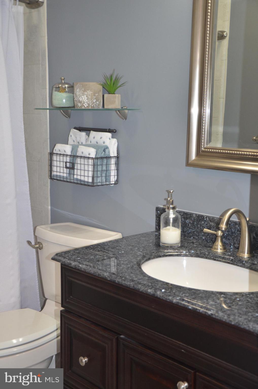 19704 Trunk Road White Hall, MD 21161 - Photo 29 of 59 Lovely vanity and flooring