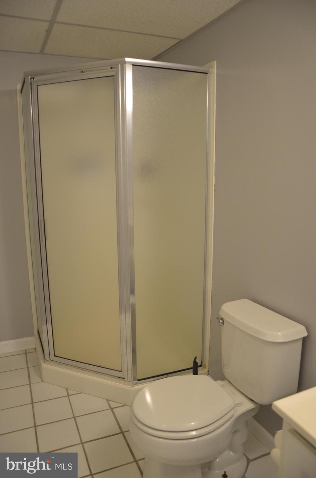 19704 Trunk Road White Hall, MD 21161 - Photo 35 of 59 Full bath in the lower level with shower