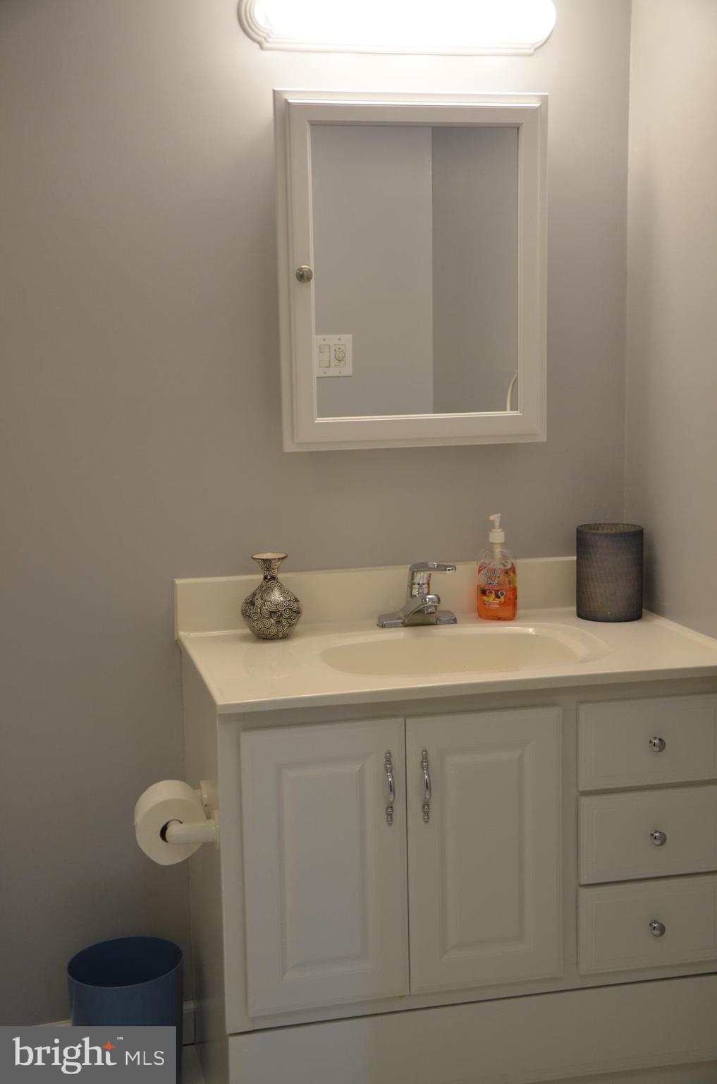 19704 Trunk Road White Hall, MD 21161 - Photo 37 of 59 This bath is very inviting for guests