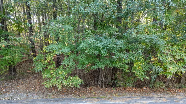 $95,000 | 129-131 Hastings Road, Seven Lakes, NC 27376