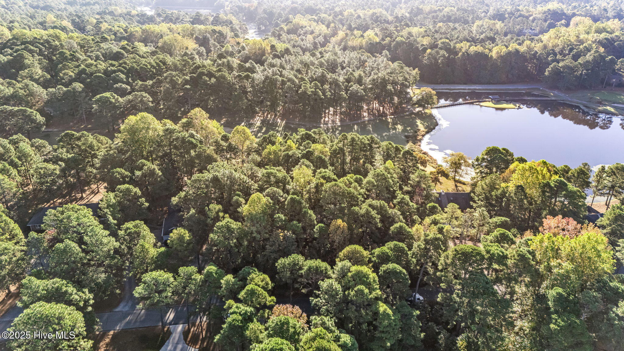 129-131 Hastings Road West End, NC 27376 - Photo 3 of 12 3-web-or-mls-DJI_20251021085949_0697_D