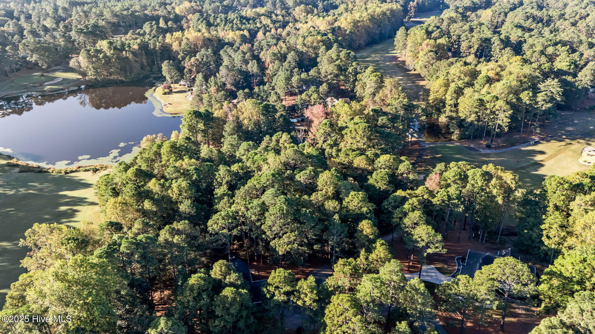 129-131 Hastings Road West End, NC 27376 - Photo 6 of 12 6-web-or-mls-DJI_20251021090013_0702_D