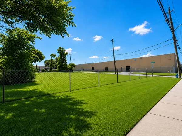 a view of a park with a big yard