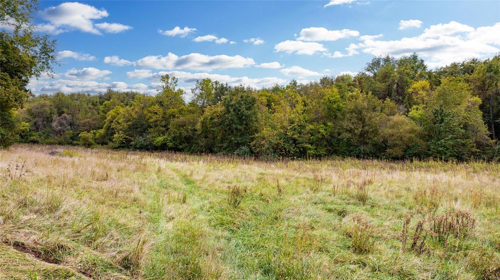 6024 Renken Road Dorsey, IL 62021 - Photo 33 of 39