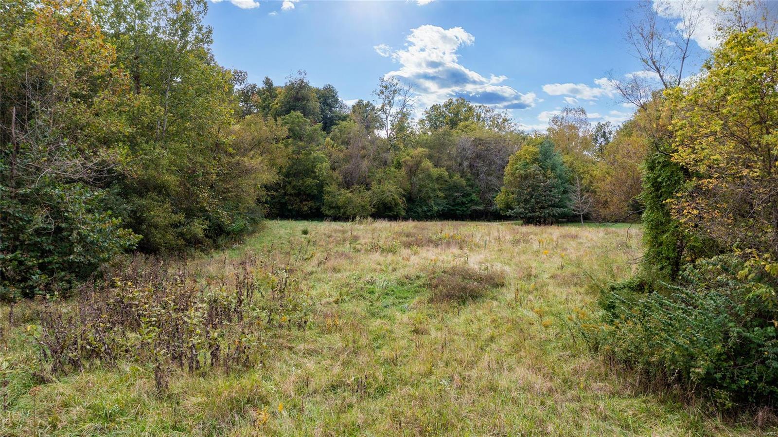 6024 Renken Road Dorsey, IL 62021 - Photo 34 of 39