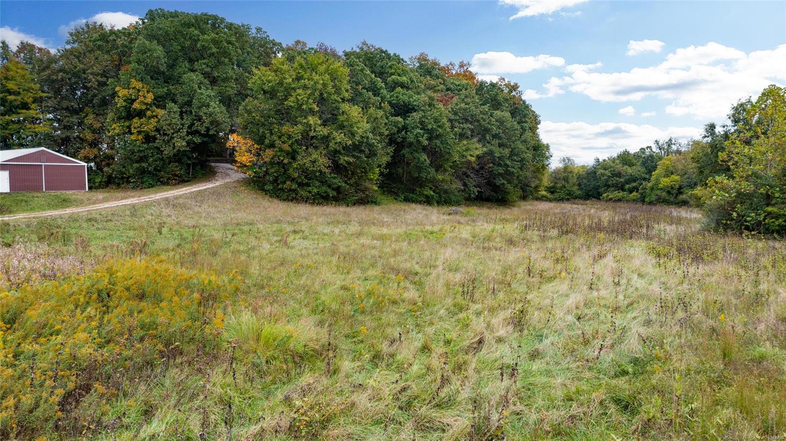 6024 Renken Road Dorsey, IL 62021 - Photo 36 of 39