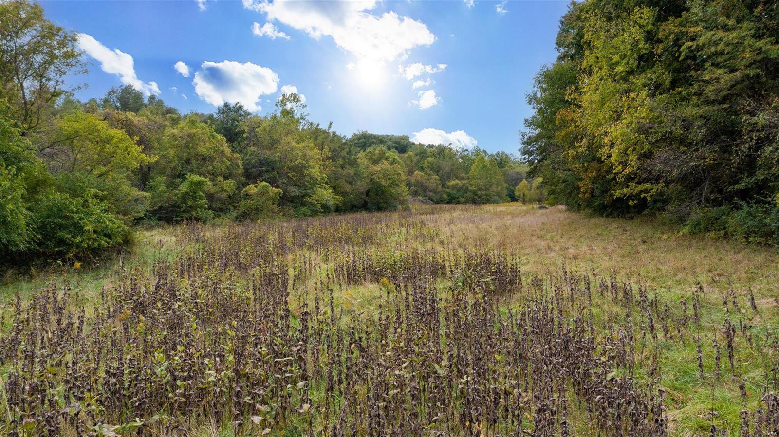 6024 Renken Road Dorsey, IL 62021 - Photo 37 of 39
