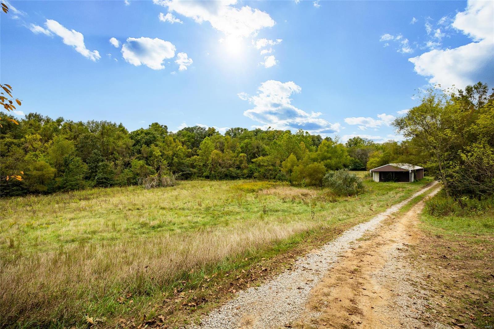 6024 Renken Road Dorsey, IL 62021 - Photo 38 of 39