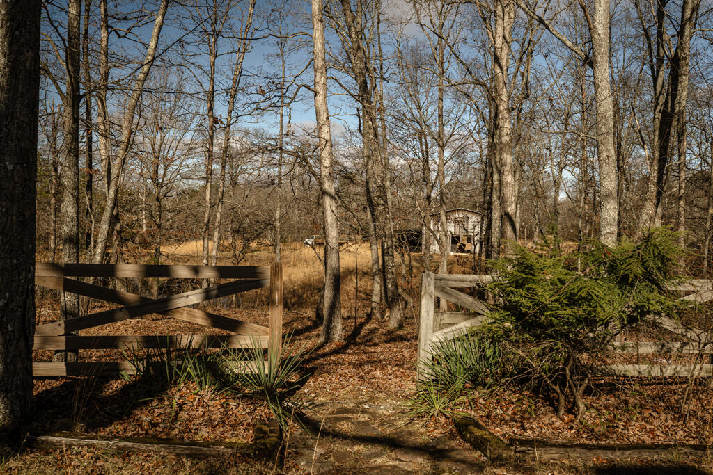 351 Durham Road Rising Fawn, GA 30738 - Photo 45 of 73 DSC01056