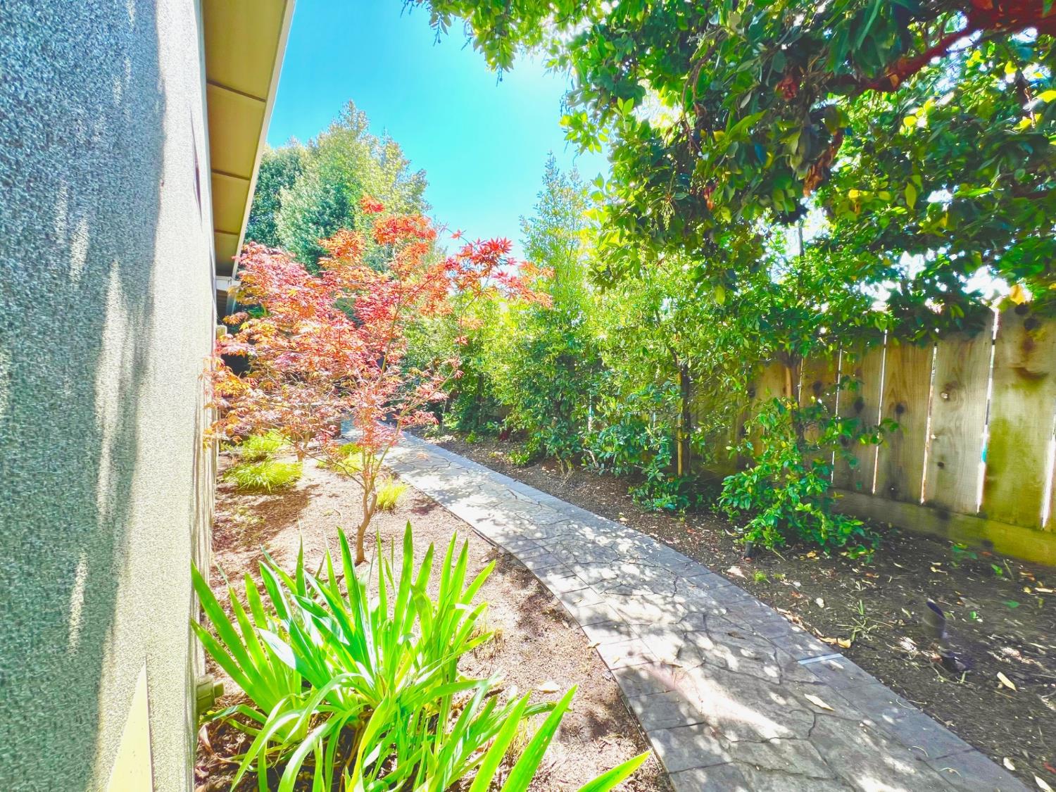 3837 Marigold Lane Modesto, CA 95356 - Photo 30 of 38