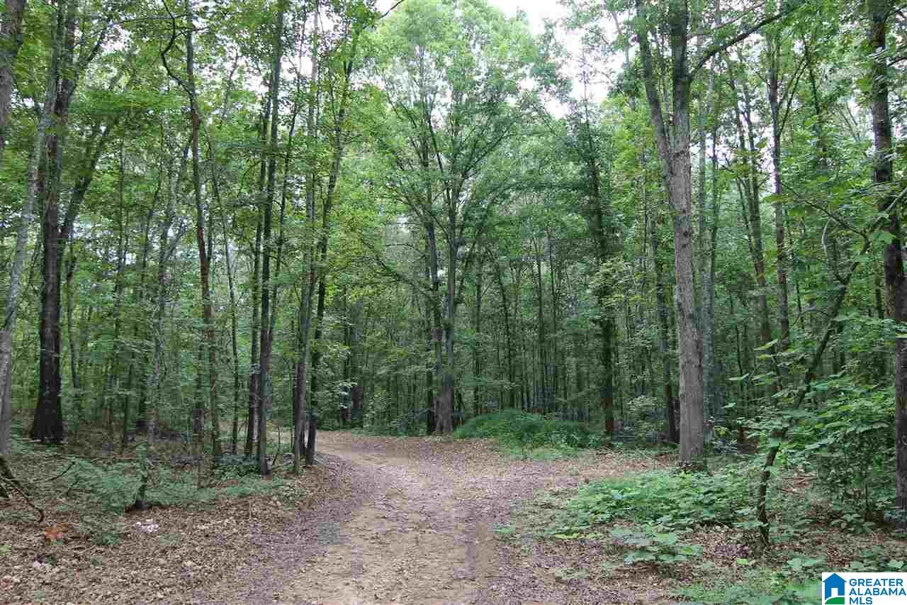 3475 County Road 29, Unit 70± ACRES Heflin, AL 36264 - Photo 1 of 6