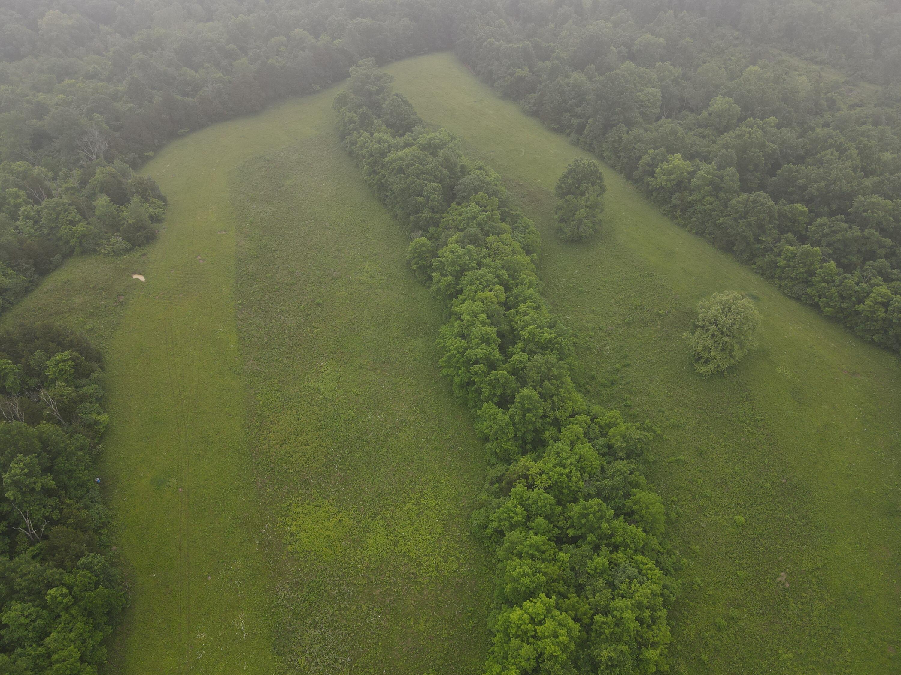59.71-ac Long Road Lawrenceburg, KY 40342 - Photo 1 of 1 temp_image_for_default_share copy 8