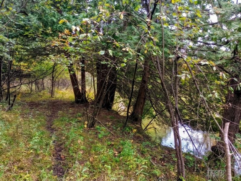 35.11-acres North Hockaday Road Gladwin, MI 48624 - Photo 62 of 83 Gallery Image 62