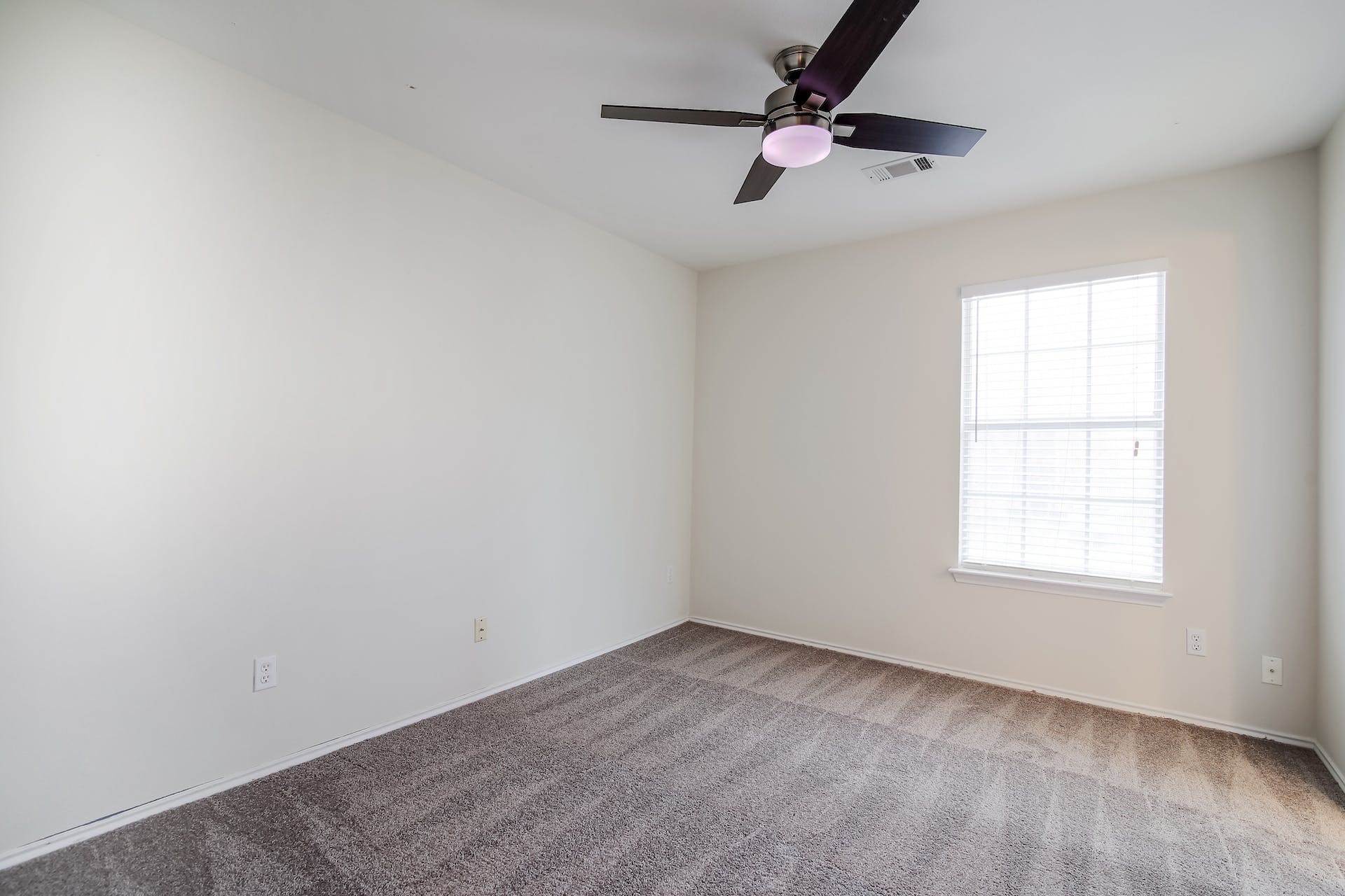 1713 Apache Trail Round Rock, TX 78665 - Photo 23 of 39 an empty room with a window