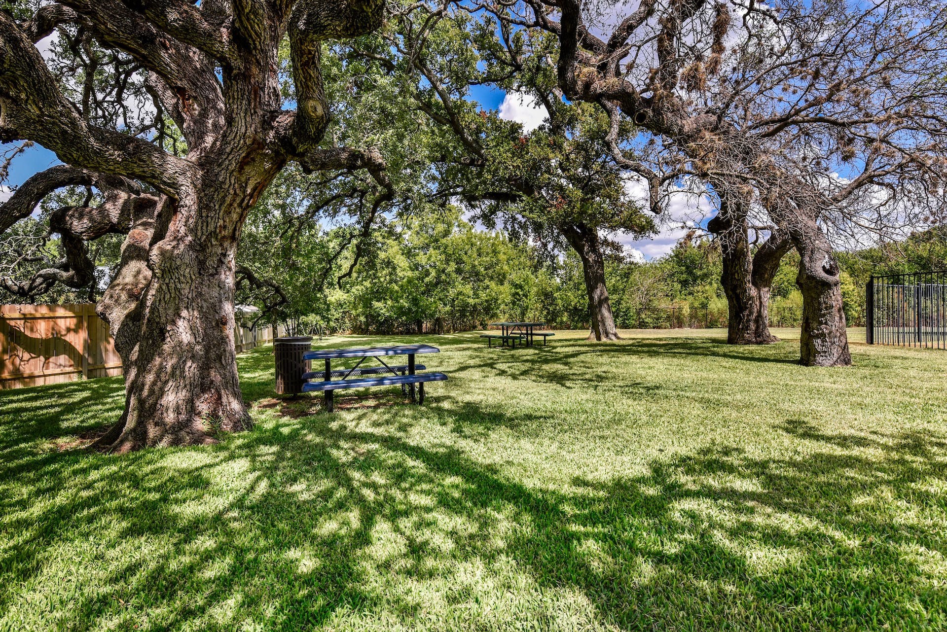 1713 Apache Trail Round Rock, TX 78665 - Photo 36 of 39 a backyard of a house with lots of green space