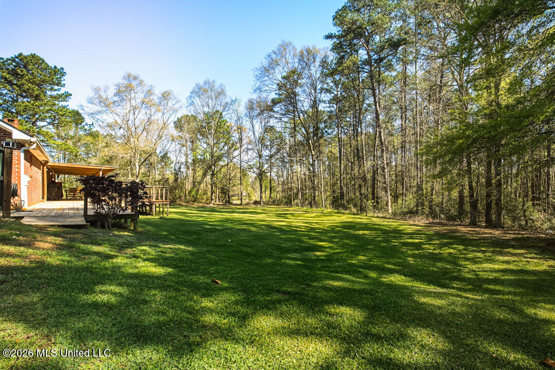 336 Nobles Road Sumrall, MS 39482 - Photo 25 of 29 DSC08516