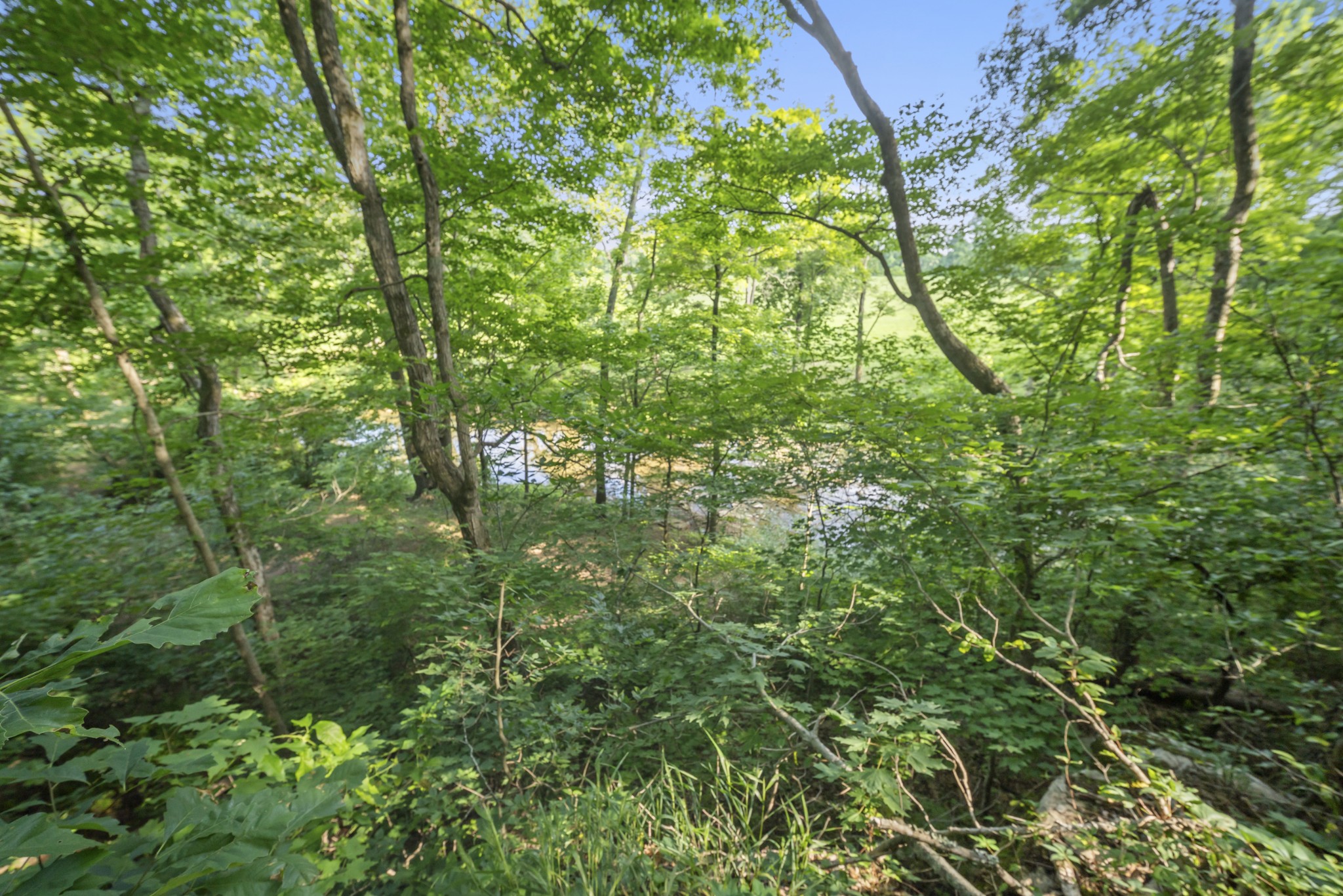 22153 Highway 49 East Springfield, TN 37172 - Photo 43 of 52