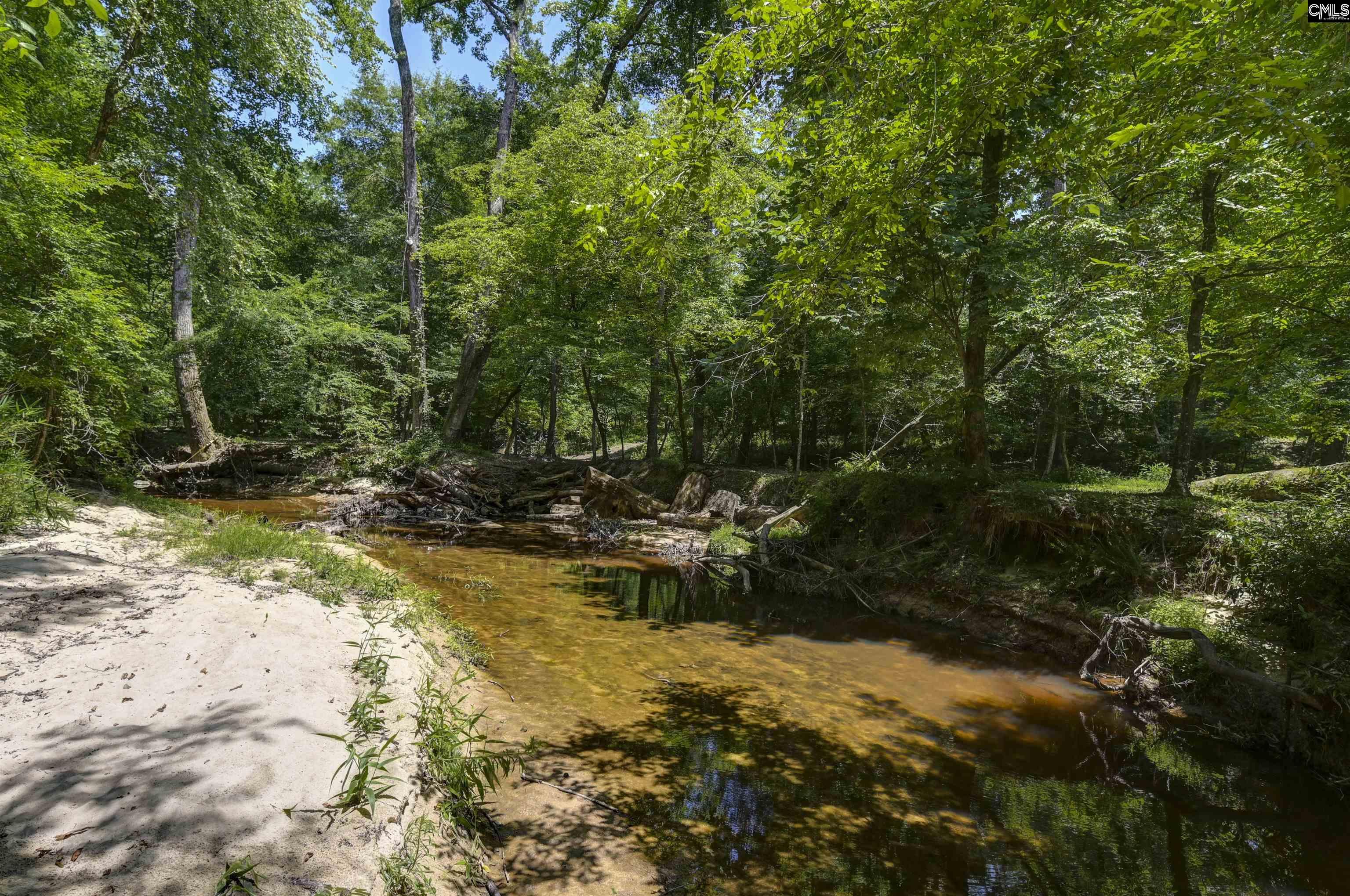 317 Horse Cove Road Gilbert, SC 29054 - Photo 35 of 86
