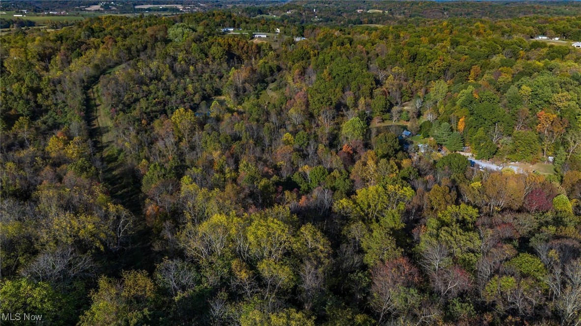 3278 Rough And Ready Road New Concord, OH 43762 - Photo 13 of 28 Aerial overview of property's location with a heavily wooded area