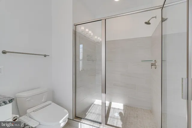a bathroom with a shower and a toilet