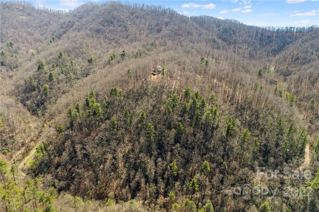 738 Heck Creek Road Marshall, NC 28753 - Photo 46 of 47 Gallery Image 46