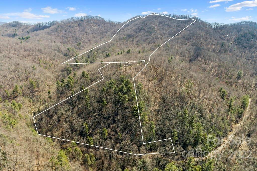 738 Heck Creek Road Marshall, NC 28753 - Photo 5 of 47 Gallery Image 5