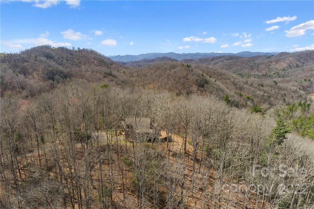 738 Heck Creek Road Marshall, NC 28753 - Photo 6 of 47 Gallery Image 6