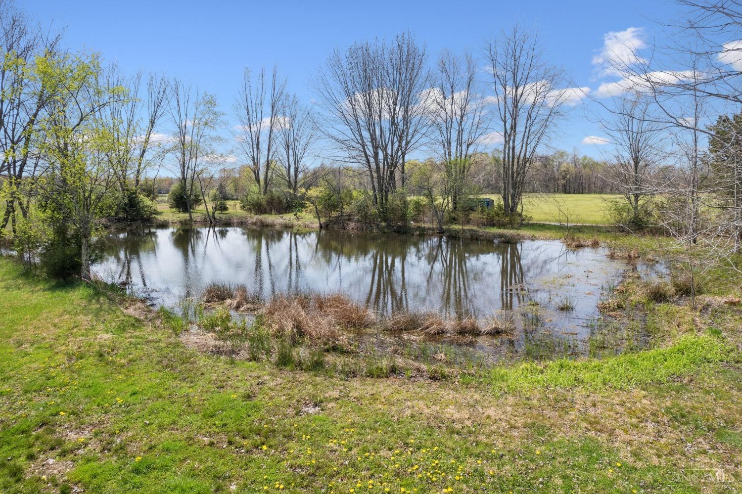 7817 Gardner Road Georgetown, OH 45121 - Photo 5 of 40