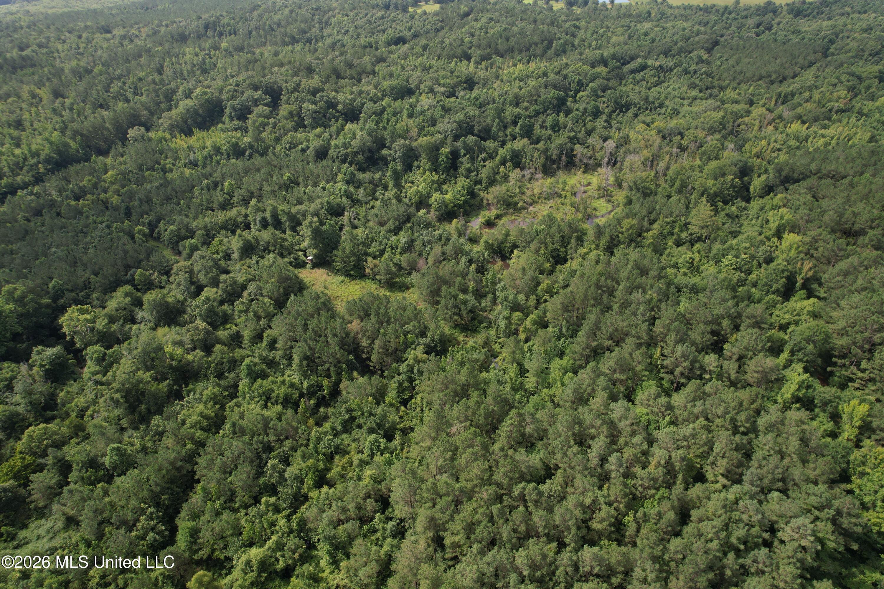 Winfry Road Kilmichael, MS 39747 - Photo 13 of 22 dji_fly_20260630_100438_156_178303789151
