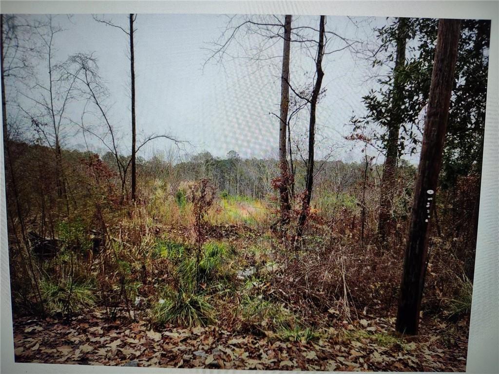 546100 Stonewall Tell Road Atlanta, GA 30349 - Photo 1 of 4 a water view of a garden