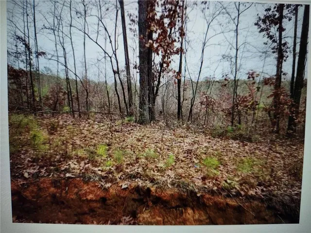 a view of a yard covered with snow