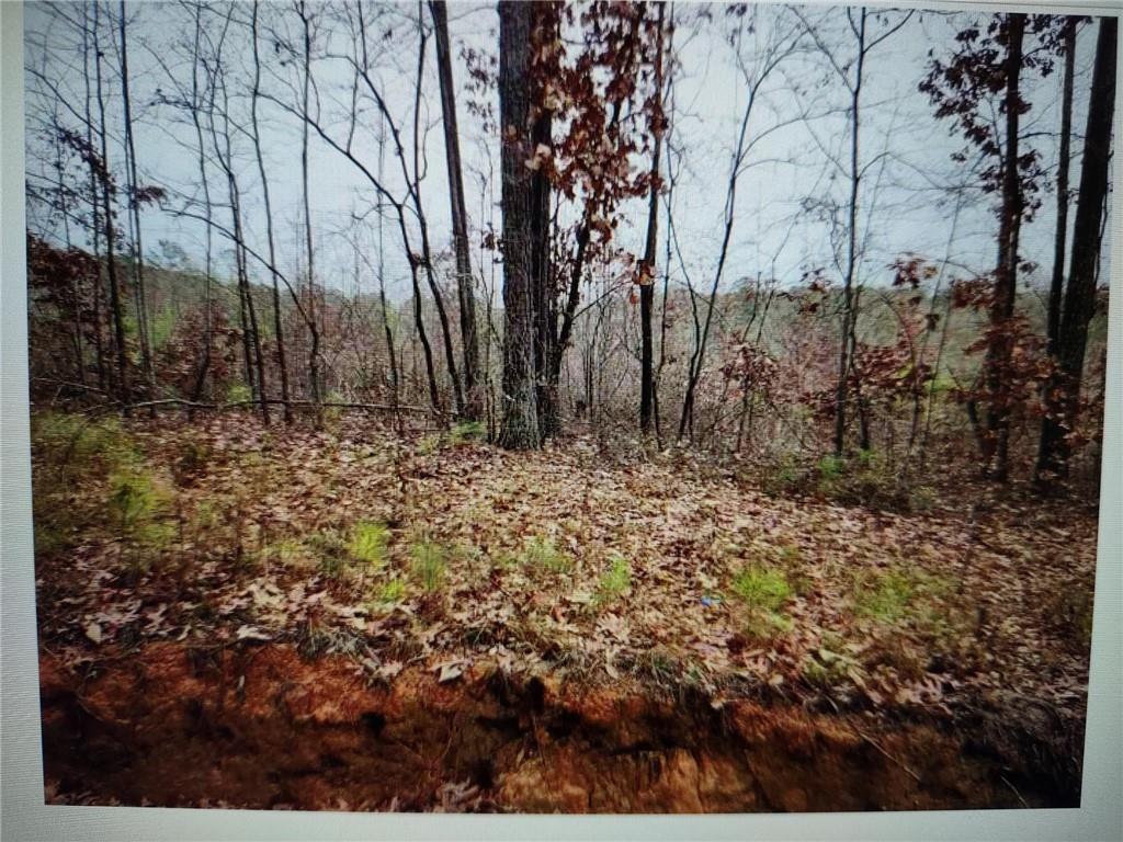 546100 Stonewall Tell Road Atlanta, GA 30349 - Photo 2 of 4 a view of a yard covered with snow