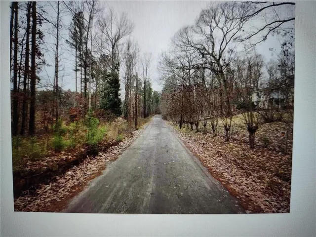 a view of a pathway with a yard