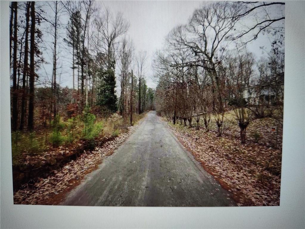 546100 Stonewall Tell Road Atlanta, GA 30349 - Photo 4 of 4 a view of a pathway with a yard