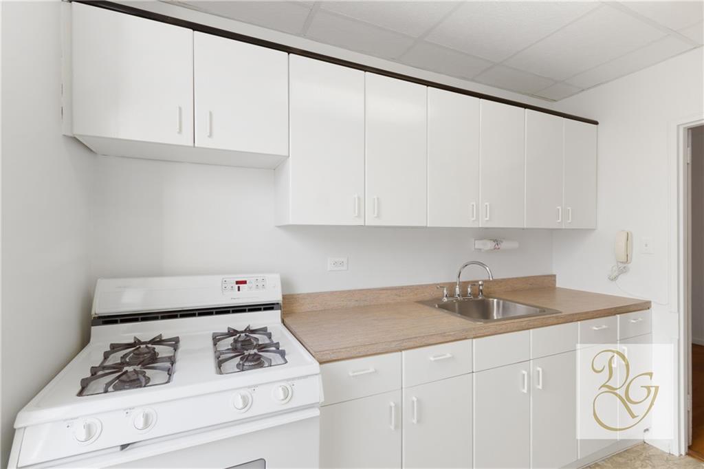 9801 Shore Road, Unit 2O Brooklyn, NY 11209 - Photo 4 of 24 a kitchen with granite countertop a sink a stove and cabinets