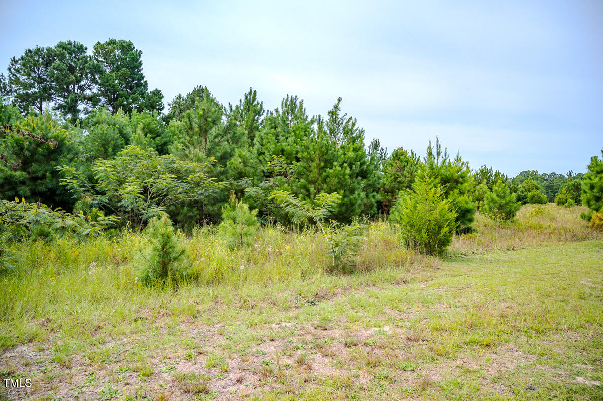 0 John Nunnery Road Stedman, NC 28391 - Photo 14 of 24 6ac - Watson - Cumberland Co. - DM (8)