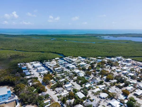 an aerial view of lake and residential houses with outdoor space