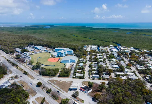an outdoor space with plants and large trees