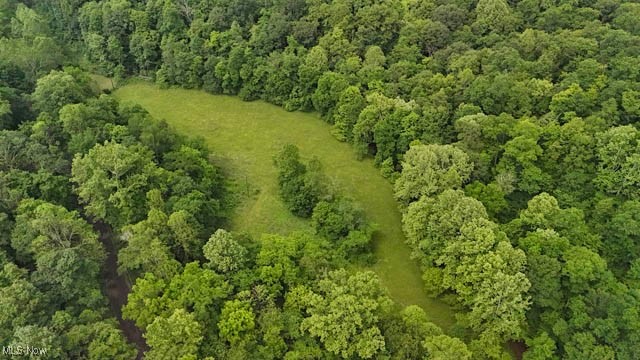Lot 2 County Road New Matamoras, OH 45767 - Photo 9 of 18 Gallery Image 9