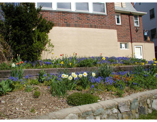 21 Vincent Road Boston, MA 02132 - Photo 14 of 14 Gallery Image 14