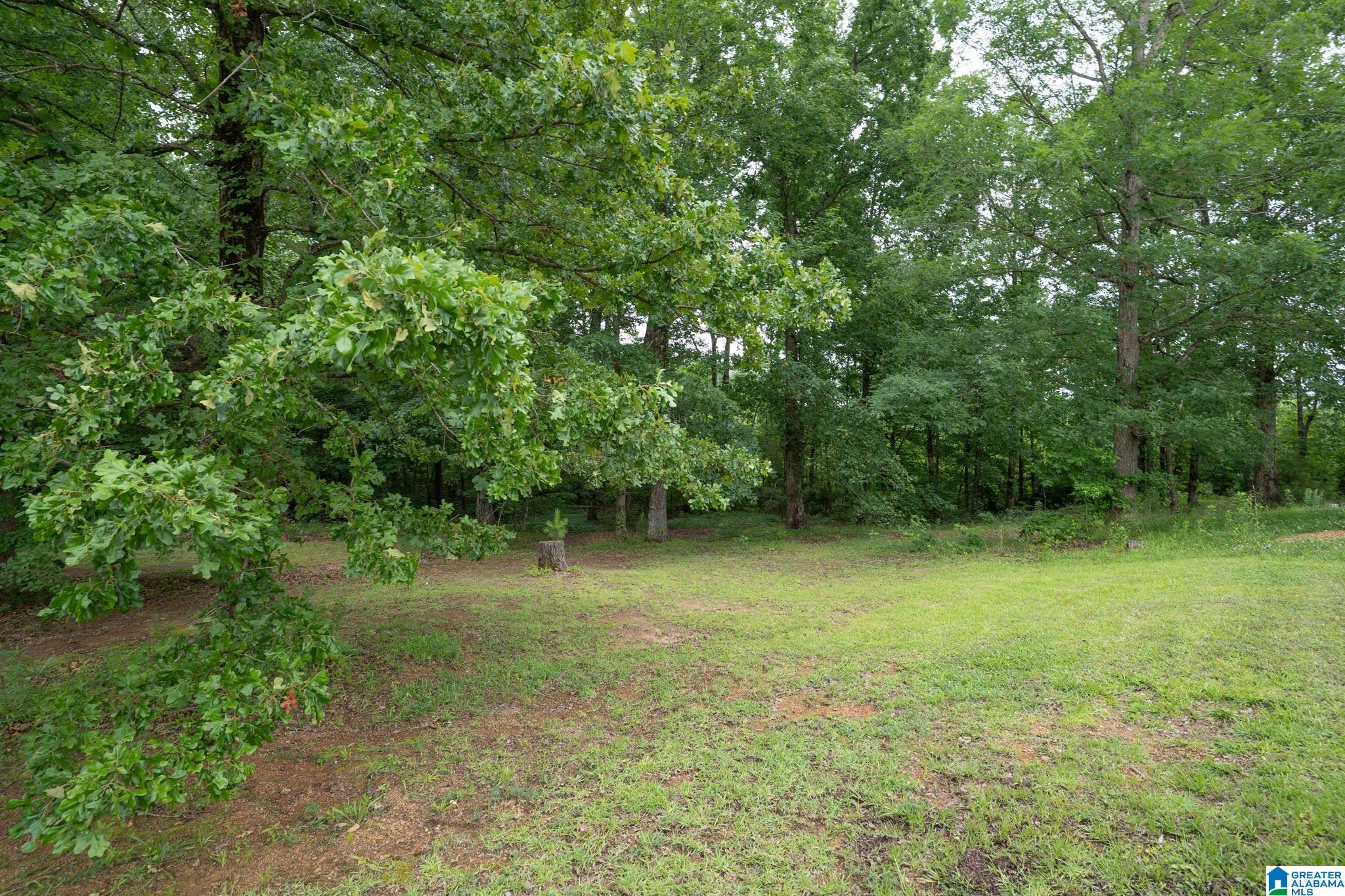 9677 Golden Lane Bessemer, AL 35023 - Photo 76 of 76